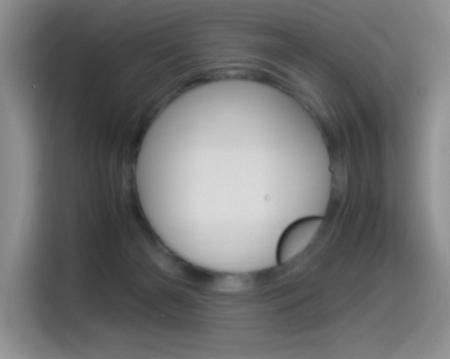 X0000114500126200910191144