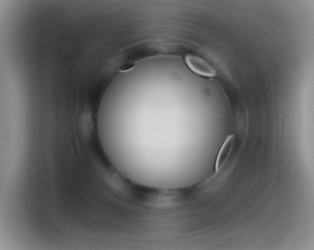 X0000114500128200910191144