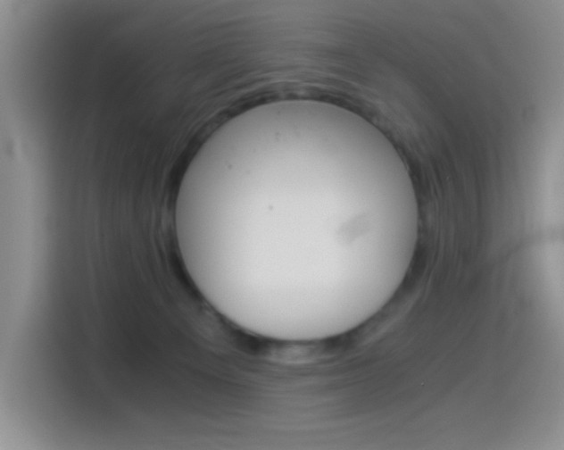 X0000114500129200910191144