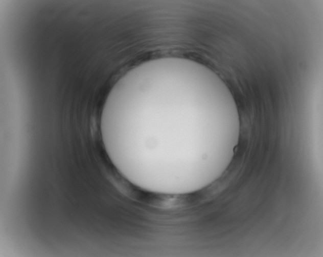 X0000114500130200910191144
