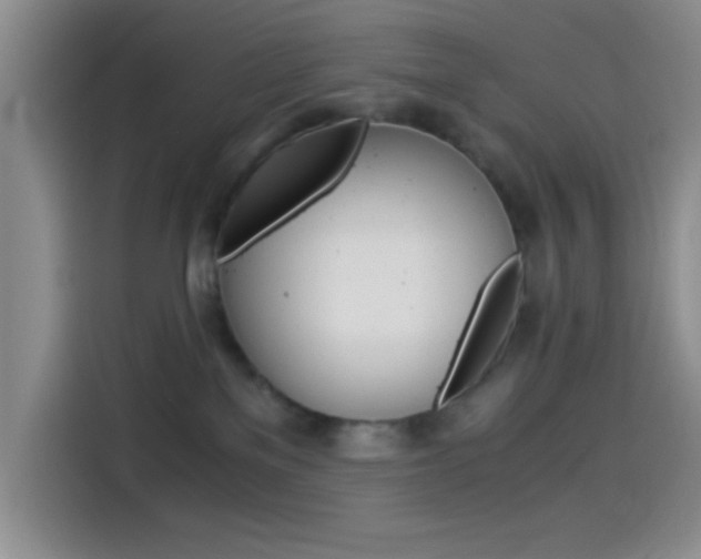 X0000114500137200910191144