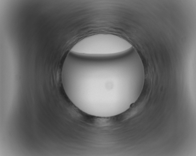 X0000114500139200910191144