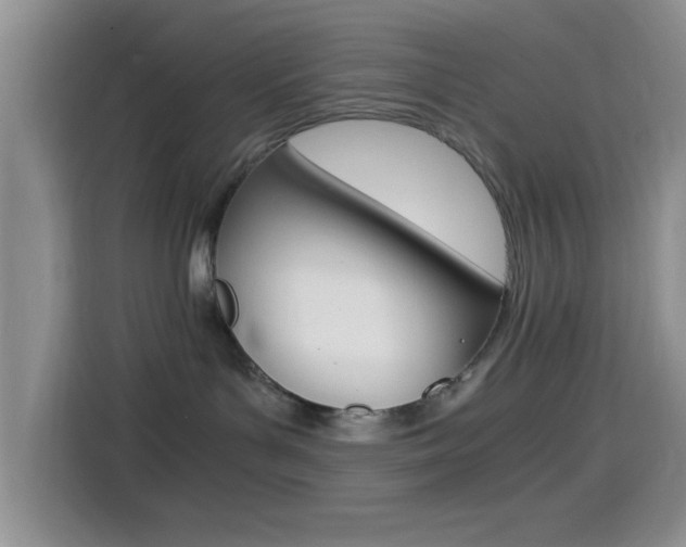 X0000114500143200910191144