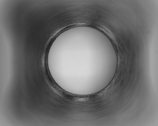 X0000114500155200910191143