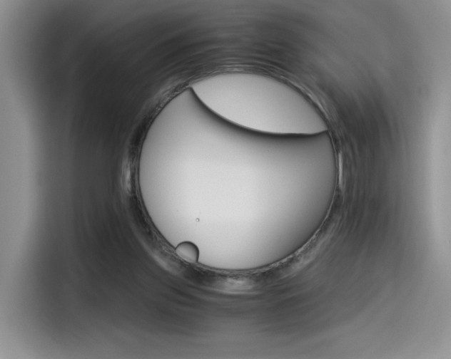 X0000114500157200910191143