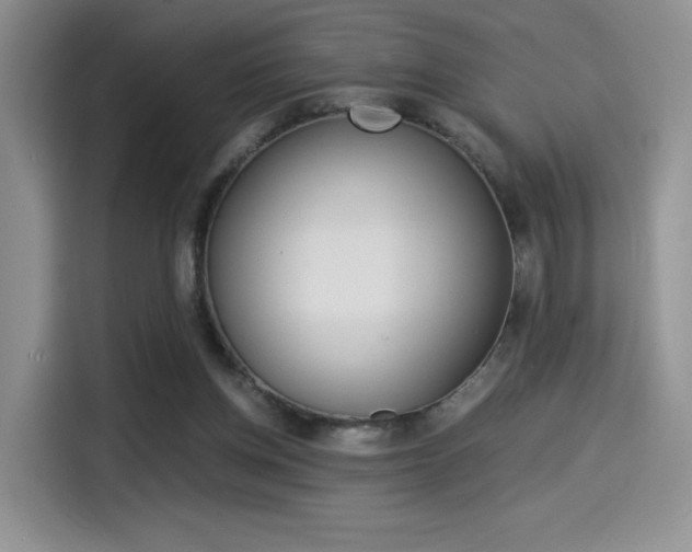 X0000114500158200910191143