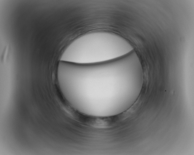 X0000114500166200910191144