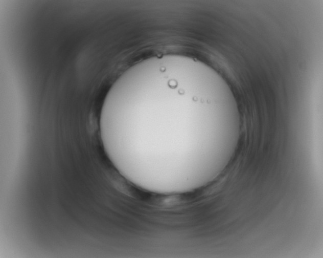 X0000114500173200910191144