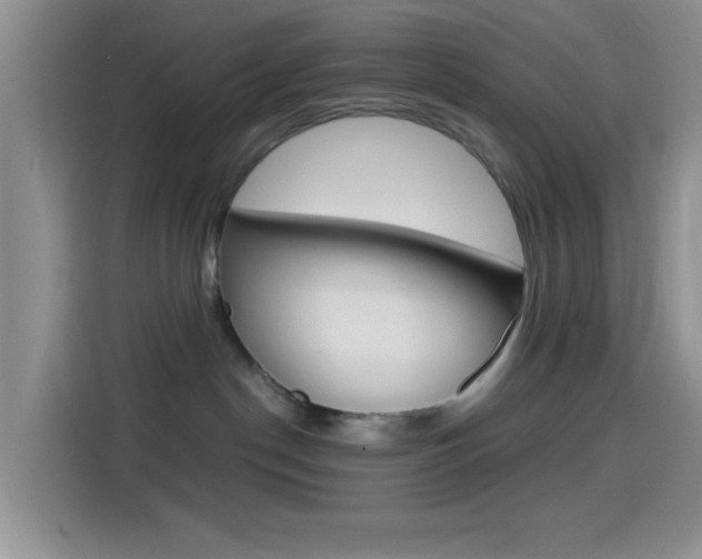 X0000114500190200910191144