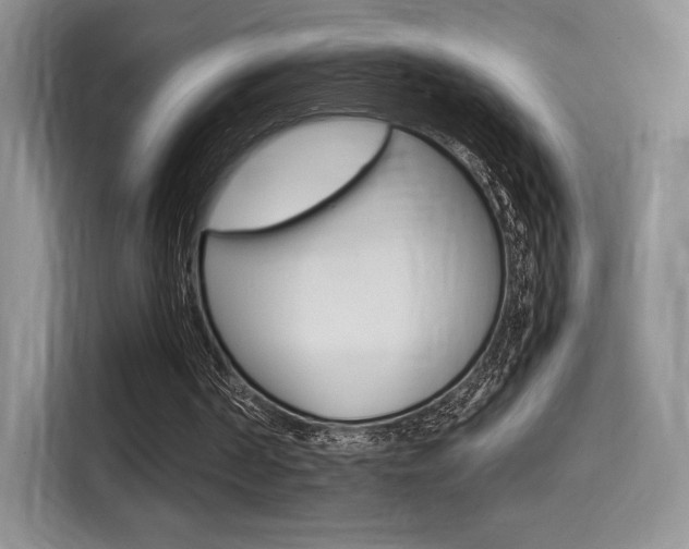X0000114500194200910191143