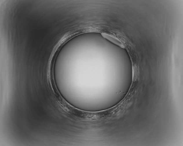 X0000114500195200910191143
