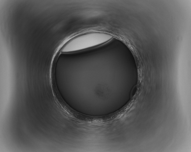 X0000114500196200910191143