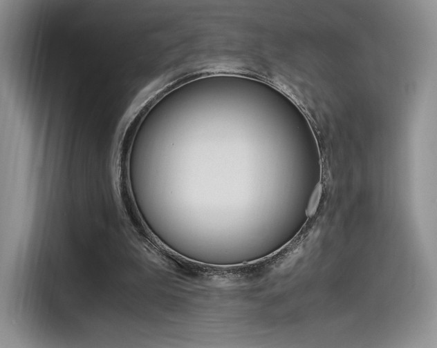 X0000114500199200910191143