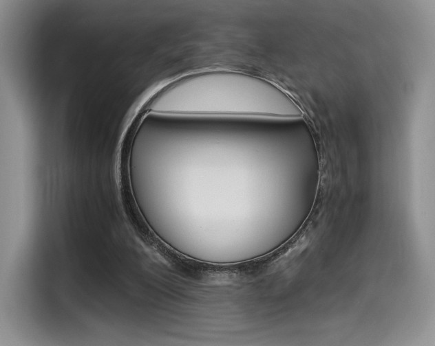 X0000114500200200910191143