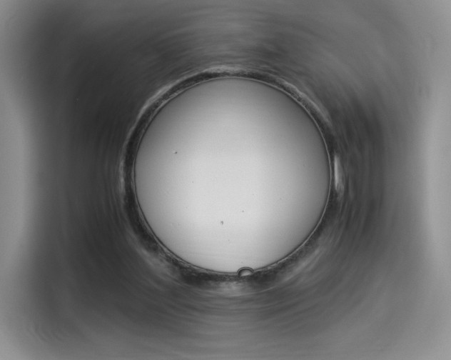 X0000114500204200910191143