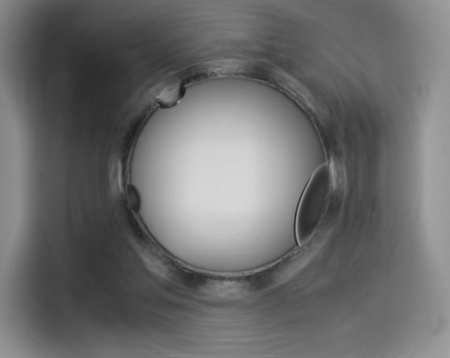X0000114500205200910191143
