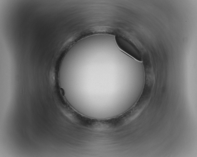 X0000114500207200910191143