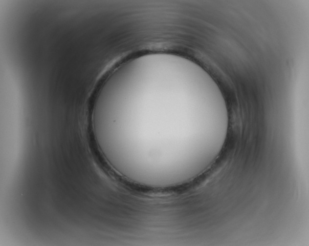 X0000114500208200910191143