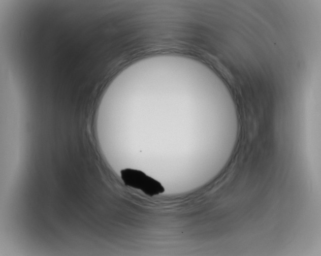 X0000114500209200910191143
