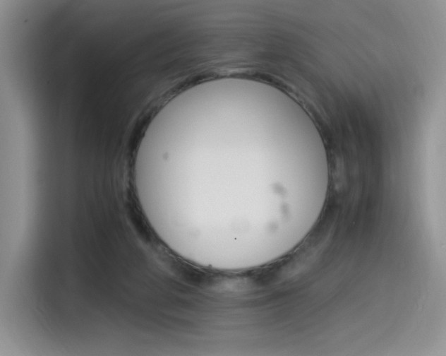 X0000114500210200910191143