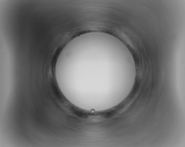 X0000114500213200910191143