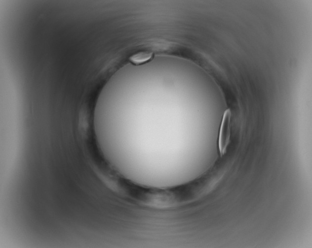 X0000114500215200910191143
