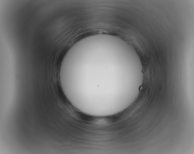 X0000114500218200910191143