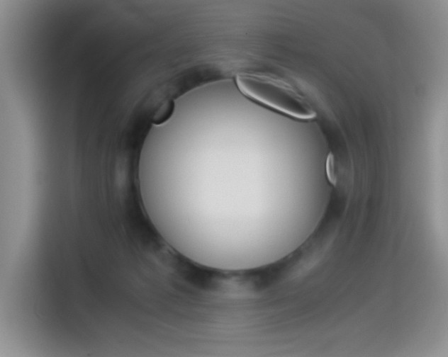 X0000114500221200910191143