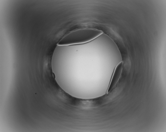 X0000114500233200910191143