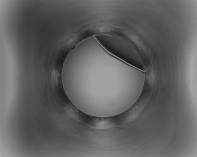 X0000114500235200910191143
