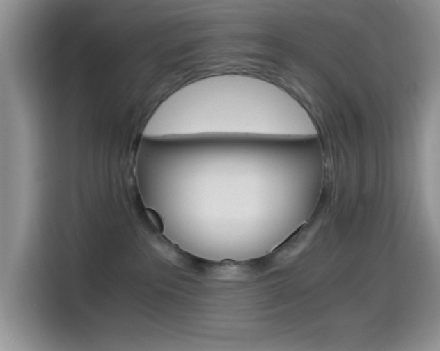 X0000114500237200910191143