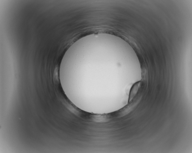 X0000114500238200910191143