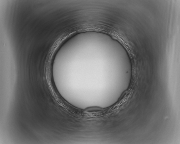 X0000114500241200910191142