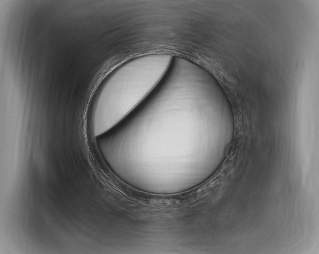 X0000114500242200910191142