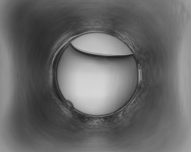 X0000114500243200910191142