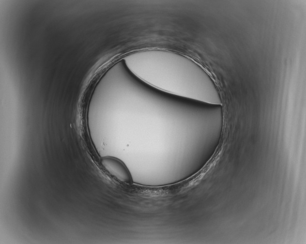 X0000114500245200910191142