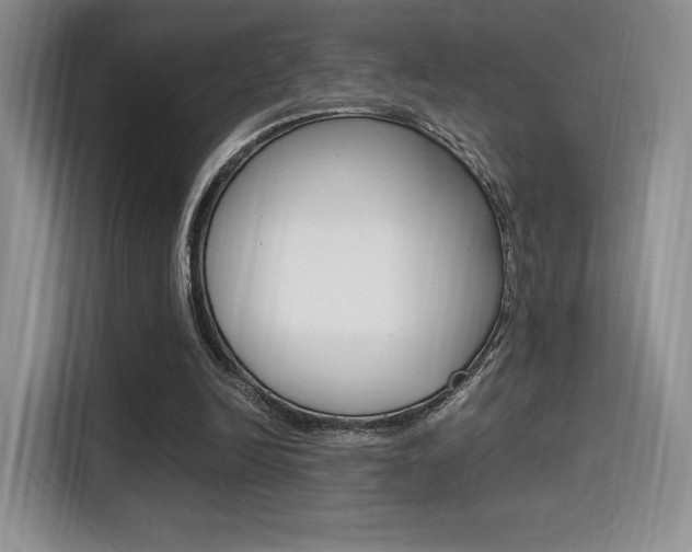 X0000114500246200910191142