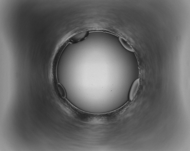 X0000114500248200910191142