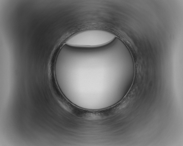 X0000114500250200910191142
