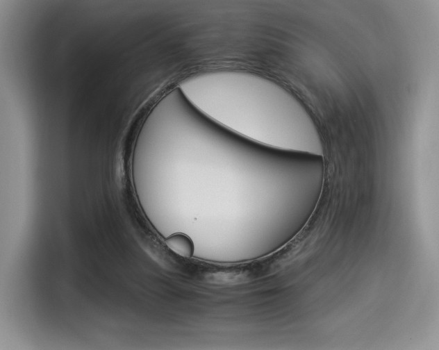 X0000114500251200910191142