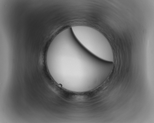 X0000114500255200910191142