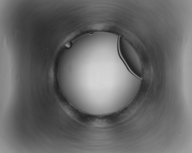 X0000114500256200910191142