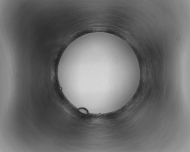 X0000114500259200910191142