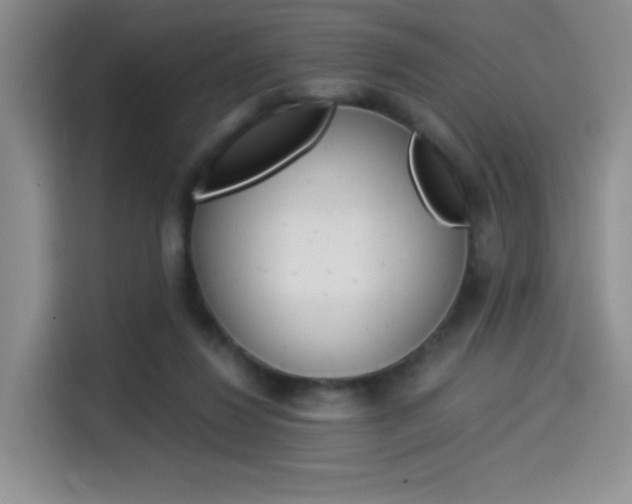 X0000114500260200910191142