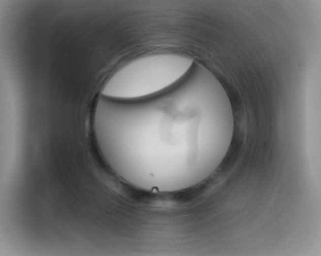 X0000114500262200910191142