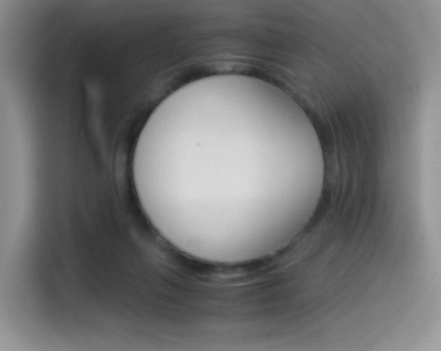 X0000114500263200910191142
