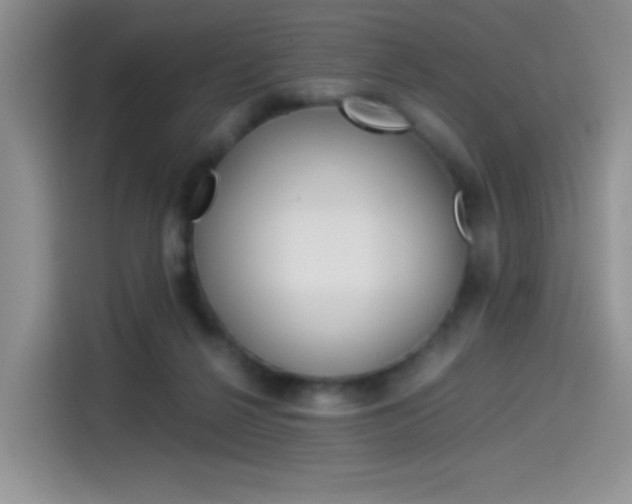 X0000114500264200910191142