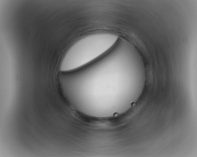 X0000114500266200910191142
