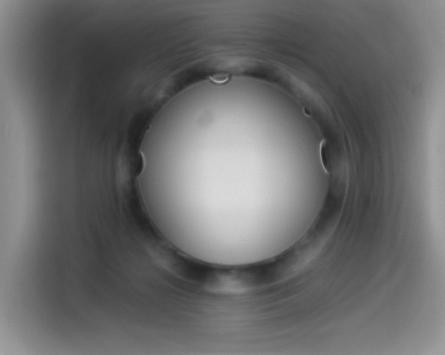 X0000114500268200910191142