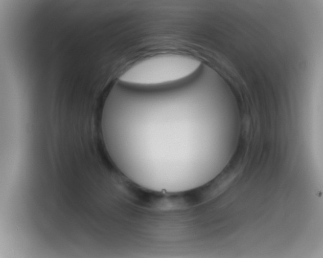 X0000114500270200910191142